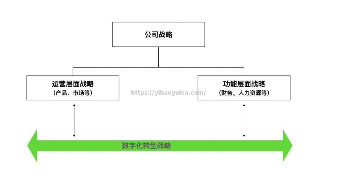 灰熊队战略规划揭秘，球队未来路径值得探讨