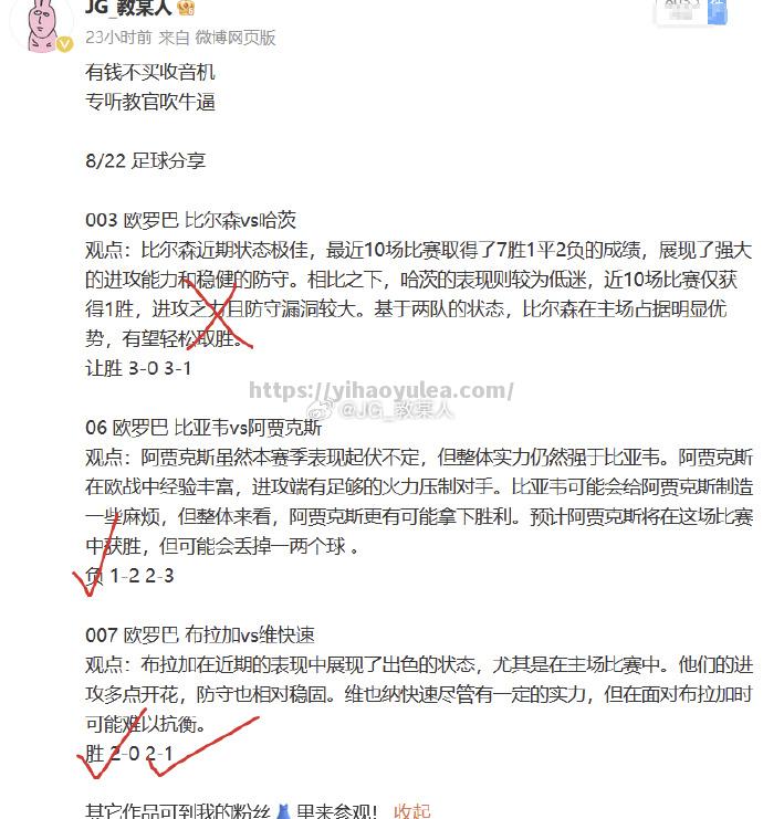 汉堡SV在比赛中表现出色